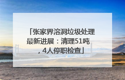 张家界溶洞垃圾处理最新进展：清理51吨，4人停职检查