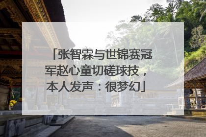 张智霖与世锦赛冠军赵心童切磋球技，本人发声：很梦幻