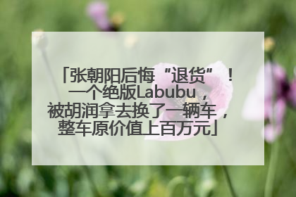 张朝阳后悔“退货”！一个绝版Labubu，被胡润拿去换了一辆车，整车原价值上百万元