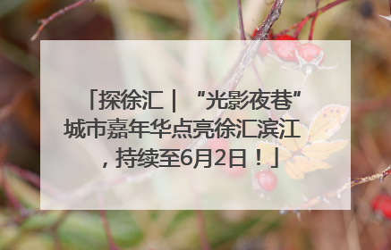 探徐汇｜“光影夜巷”城市嘉年华点亮徐汇滨江，持续至6月2日！