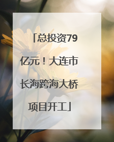 总投资79亿元！大连市长海跨海大桥项目开工