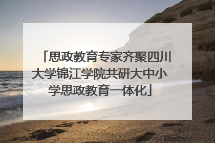 思政教育专家齐聚四川大学锦江学院共研大中小学思政教育一体化
