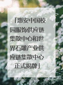 惠安中国校园服饰供应链集散中心和世界石雕产业供应链集散中心正式揭牌