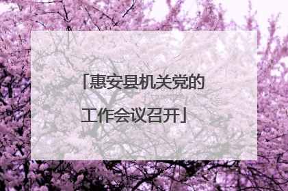 惠安县机关党的工作会议召开