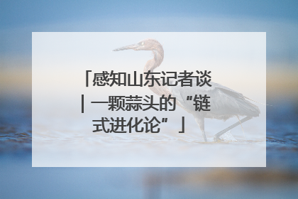 感知山东记者谈｜一颗蒜头的“链式进化论”