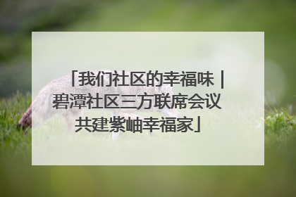 我们社区的幸福味｜碧潭社区三方联席会议共建紫岫幸福家