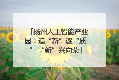 扬州人工智能产业园：追“新”逐“质” “新”兴向荣