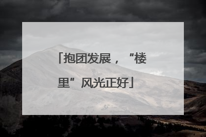 抱团发展，“楼里”风光正好