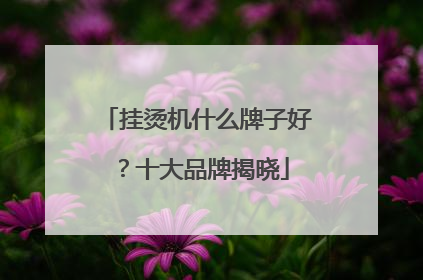 挂烫机什么牌子好？十大品牌揭晓