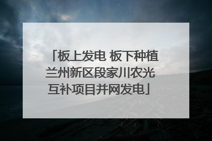 板上发电 板下种植 兰州新区段家川农光互补项目并网发电