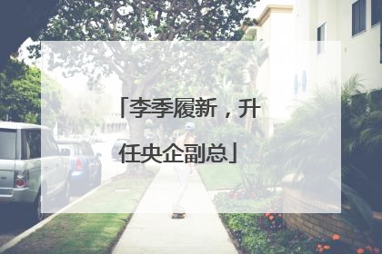 李季履新，升任央企副总