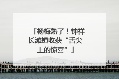 杨梅熟了！钟祥长滩镇收获“舌尖上的惊喜”