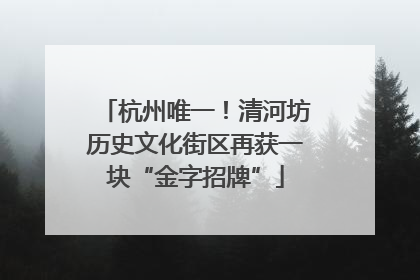 杭州唯一！清河坊历史文化街区再获一块“金字招牌”