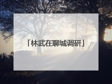 林武在聊城调研