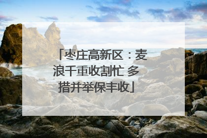 枣庄高新区：麦浪千重收割忙 多措并举保丰收