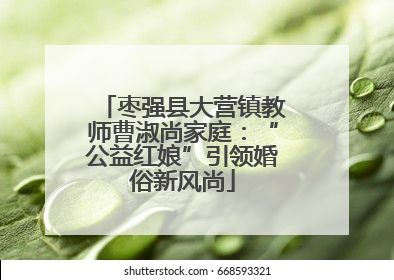 枣强县大营镇教师曹淑尚家庭：“公益红娘”引领婚俗新风尚
