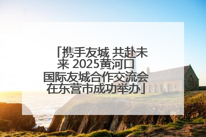 携手友城 共赴未来 2025黄河口国际友城合作交流会在东营市成功举办