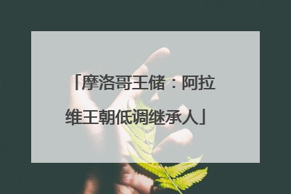 摩洛哥王储：阿拉维王朝低调继承人