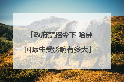 政府禁招令下 哈佛国际生受影响有多大
