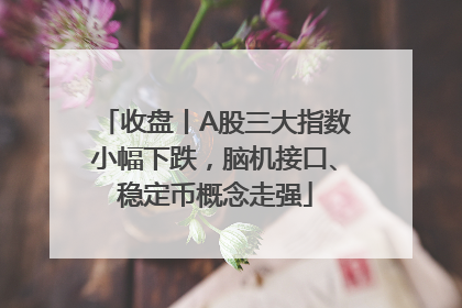 收盘丨A股三大指数小幅下跌，脑机接口、稳定币概念走强