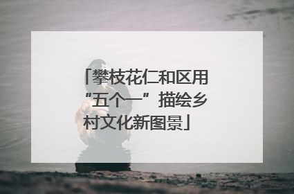 攀枝花仁和区用“五个一”描绘乡村文化新图景