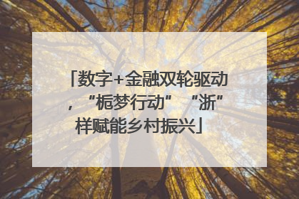数字+金融双轮驱动，“栀梦行动”“浙”样赋能乡村振兴