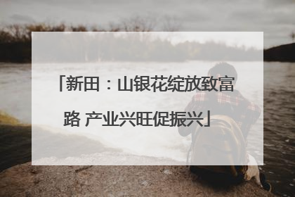 新田：山银花绽放致富路 产业兴旺促振兴