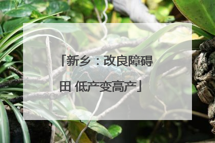 新乡：改良障碍田 低产变高产