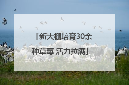 新大棚培育30余种草莓 活力拉满