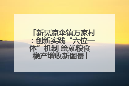 新晃凉伞镇万家村：创新实践“六位一体”机制 绘就粮食稳产增收新图景