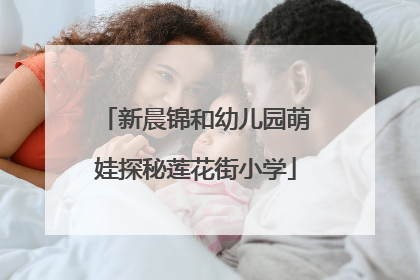 新晨锦和幼儿园萌娃探秘莲花街小学