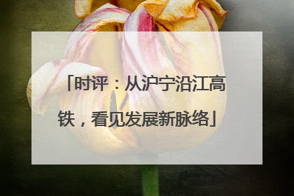 时评：从沪宁沿江高铁，看见发展新脉络