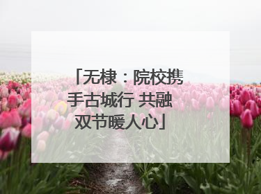 无棣：院校携手古城行 共融双节暖人心