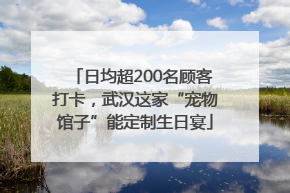 日均超200名顾客打卡，武汉这家“宠物馆子”能定制生日宴