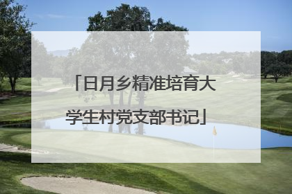日月乡精准培育大学生村党支部书记