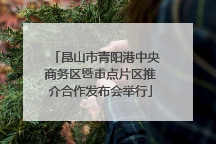 昆山市青阳港中央商务区暨重点片区推介合作发布会举行