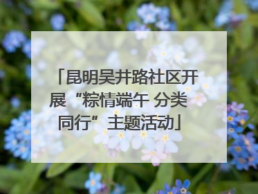 昆明吴井路社区开展“粽情端午 分类同行”主题活动