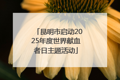 昆明市启动2025年度世界献血者日主题活动
