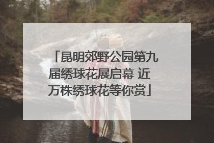 昆明郊野公园第九届绣球花展启幕 近万株绣球花等你赏