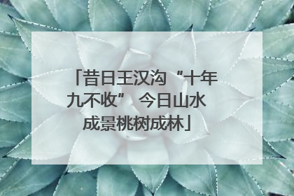 昔日王汉沟“十年九不收” 今日山水成景桃树成林