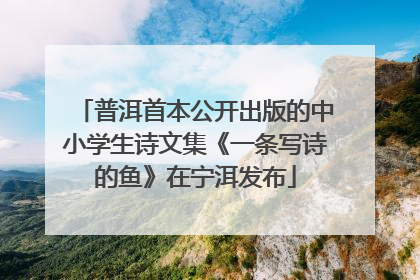 普洱首本公开出版的中小学生诗文集《一条写诗的鱼》在宁洱发布