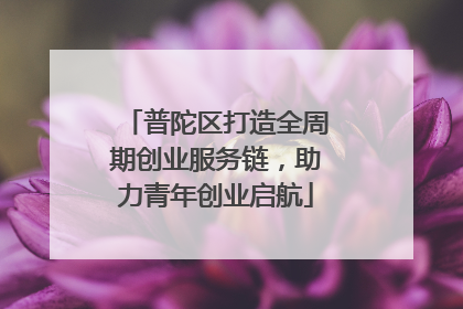 普陀区打造全周期创业服务链，助力青年创业启航