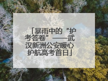 暴雨中的“护考答卷”——武汉新洲公安暖心护航高考首日