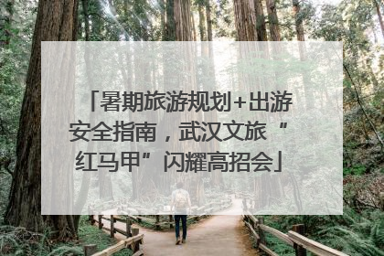 暑期旅游规划+出游安全指南，武汉文旅“红马甲”闪耀高招会