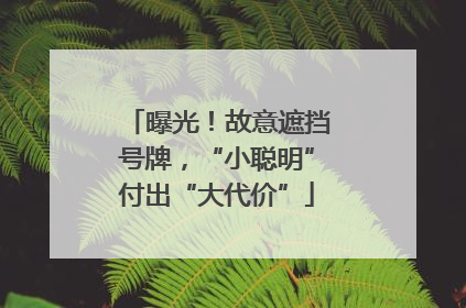 曝光！故意遮挡号牌，“小聪明”付出“大代价”