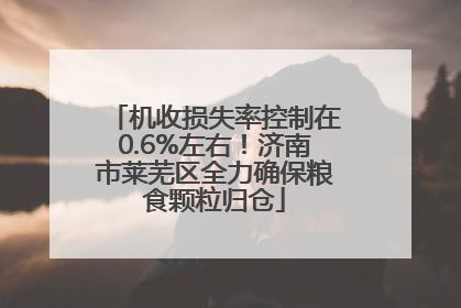 机收损失率控制在0.6%左右！济南市莱芜区全力确保粮食颗粒归仓