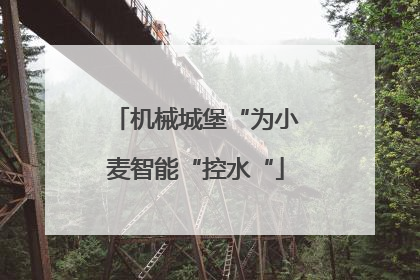 机械城堡“为小麦智能“控水“