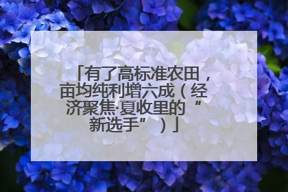 有了高标准农田，亩均纯利增六成（经济聚焦·夏收里的“新选手”）