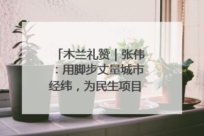 木兰礼赞｜张伟：用脚步丈量城市经纬，为民生项目按下“加速键”