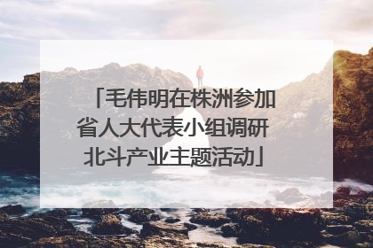 毛伟明在株洲参加省人大代表小组调研北斗产业主题活动